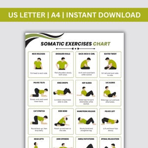 Tabela de exercícios somáticos, pôster de exercícios somáticos, PDF de treino somático, cartões de treino somático, tabelas de exercícios para imprimir, impressão digital