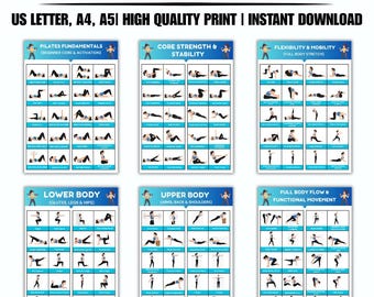 Esercizi per addominali e zona lombare stampabili, tabella di esercizi per alleviare il mal di schiena, 16 esercizi per la stabilità del core, PDF per la riabilitazione a casa, poster di fisioterapia