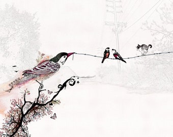 Bird Collage Art Print, Birds Wall Art, Horizontal Print, Birds Print, Print of Original Artwork, Collage Art