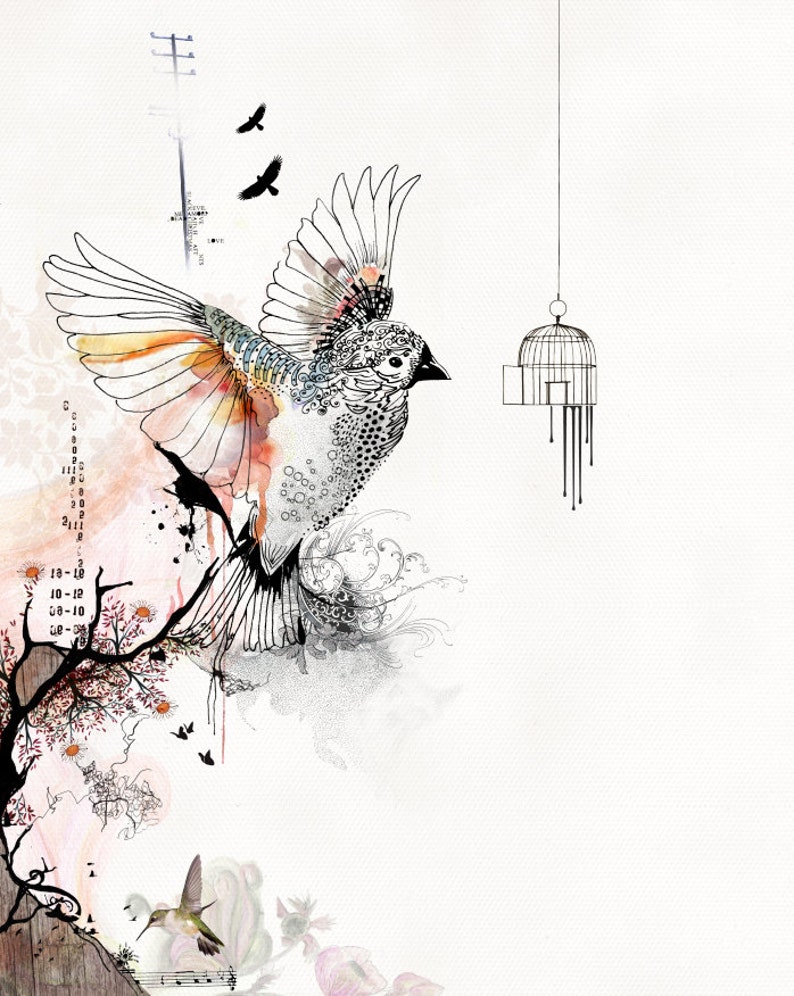 Prints illustrations, Bird cage art, Living Room Art, Bird art drawing, Orange and gray image 1