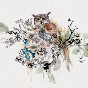 Puede incluir: Una ilustraci&oacute;n de acuarela de un b&uacute;ho posado en una rama con hojas y flores. El b&uacute;ho es marr&oacute;n y blanco con grandes ojos oscuros. El fondo es gris claro.