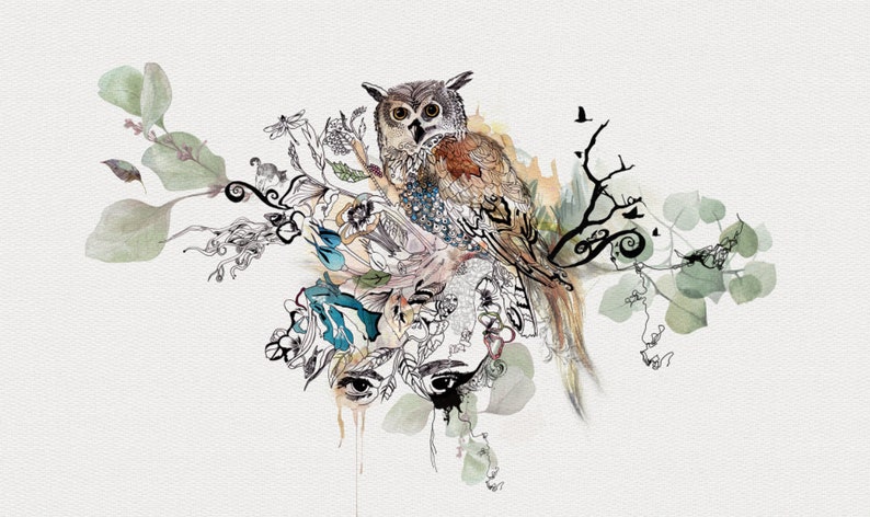 Puede incluir: Una ilustraci&oacute;n de acuarela de un b&uacute;ho posado en una rama con hojas y flores. El b&uacute;ho es marr&oacute;n y blanco con grandes ojos oscuros. El fondo es gris claro.