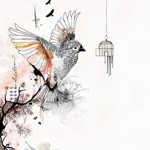 May include: A black and white illustration of a bird flying away from an empty birdcage. The bird is detailed with intricate patterns and has watercolor-like orange and yellow accents. The background is a light pink with a tree branch and a hummingbird.