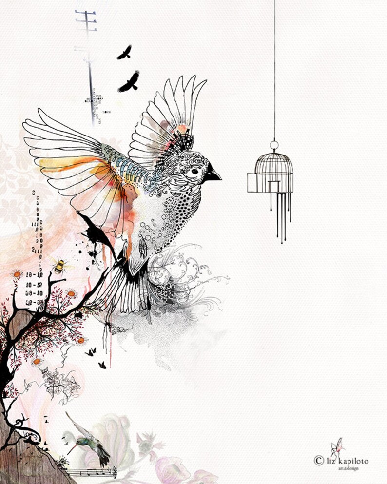 May include: A black and white illustration of a bird flying away from an empty birdcage. The bird is detailed with intricate patterns and has watercolor-like orange and yellow accents. The background is a light pink with a tree branch and a hummingbird.