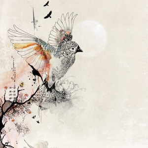 Aquarel, vogelkunst aan de muur, originele tekening, vogelillustratie, grillige vliegende vogel Art Print, pen en inkt