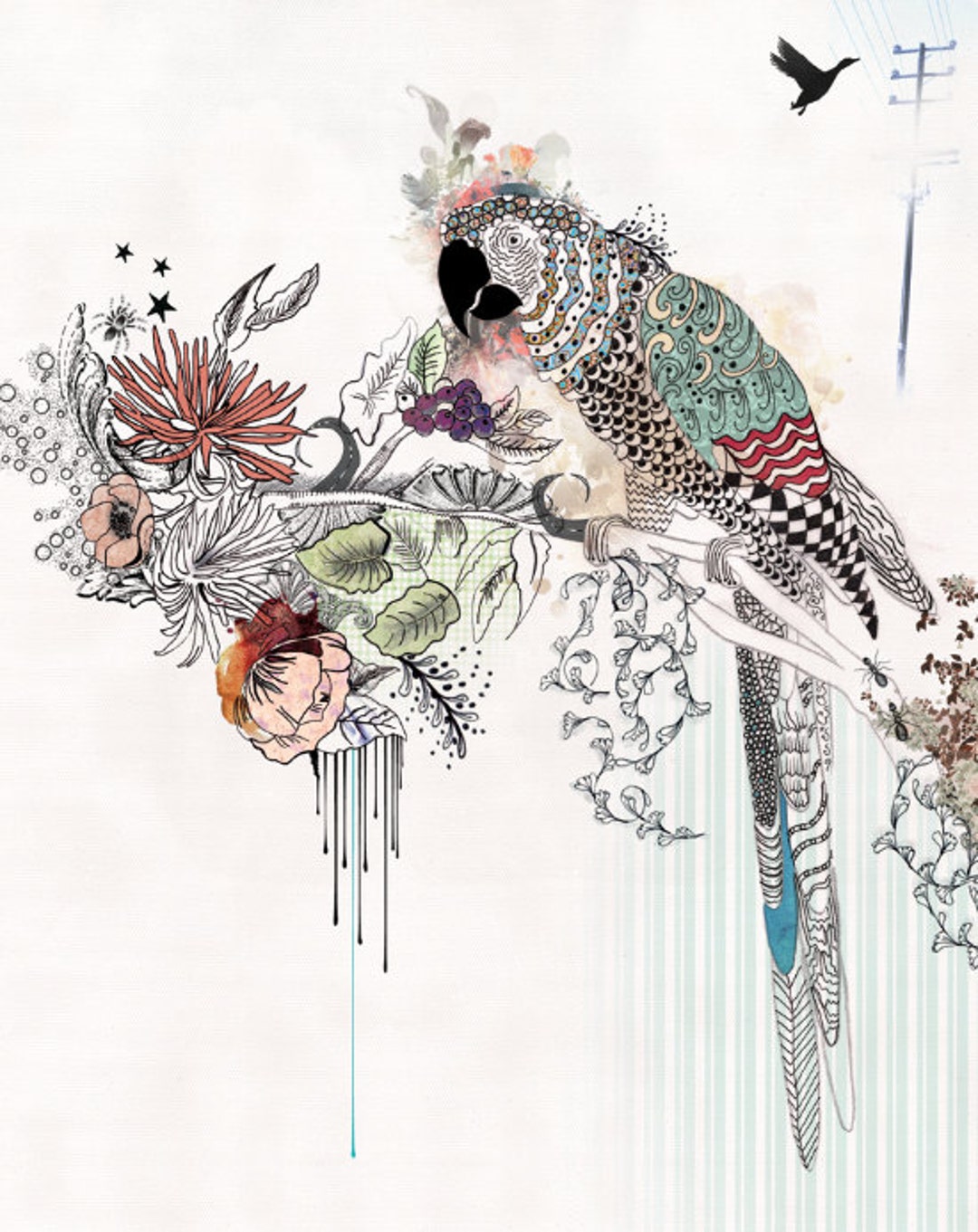 Bird Pen And Ink Portrait Bird Art, Parrot Ink Drawing, Colorful