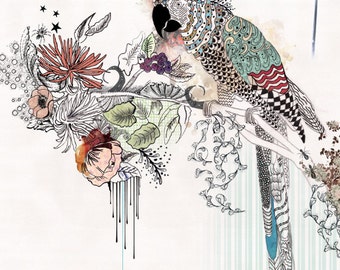 Vogel Kunst, Papagei Tinte Zeichnung, Bunte Kunst, Collage Malerei