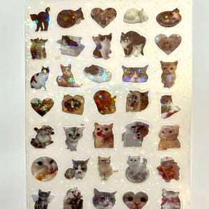 May include: A rectangular sticker sheet featuring a collection of various cat illustrations in different poses and expressions. The stickers have a holographic finish with a repeating star pattern that reflects light across the entire surface.