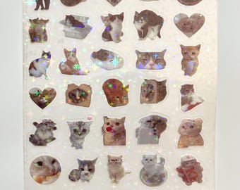 300 Cat Meme Stickers 10 Stickers Sheets | Holographic Star Shimmer, Journaling, Gifts, Planner