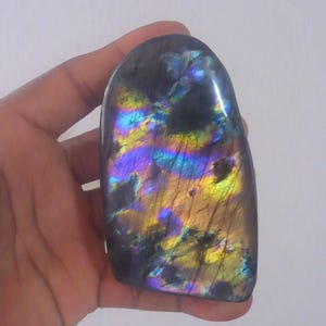 May include: A polished labradorite gemstone with a dark base color and iridescent flashes of blue, purple, and gold. The stone is held in a hand and has a smooth, rounded shape. The gemstone is a natural mineral.