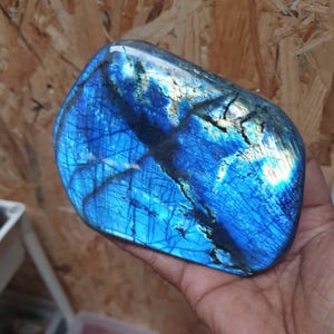 Peut inclure: Une pierre précieuse de labradorite polie, affichant des teintes bleues et turquoise irisées avec des veines sombres. La pierre est tenue dans une main, mettant en valeur sa forme lisse et arrondie et sa beauté naturelle. C'est un objet décoratif unique.