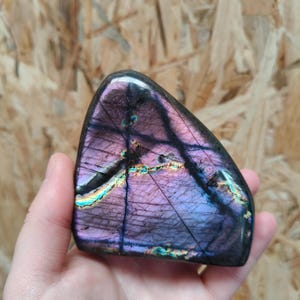 Peut inclure: Une pierre précieuse de labradorite polie, affichant un jeu de couleurs. La pierre présente des tons violets, bleus et verts, avec une finition brillante. La pierre est tenue dans une main, mettant en valeur sa beauté naturelle et ses motifs uniques.