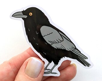 Crow Raven Bird Sticker Vinyl Laptop Water Bottle Decal - Gift for Crow Lover