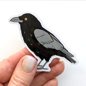 Crow Raven Bird Sticker Vinyl Laptop Water Bottle Decal - Gift for Crow Lover