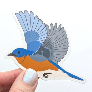 Bluebird Bird Sticker Vinyl Laptop Water Bottle Decal Gift for Bird Lover image 1