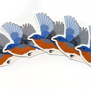 Bluebird Bird Sticker Vinyl Laptop Water Bottle Decal Gift for Bird Lover image 3