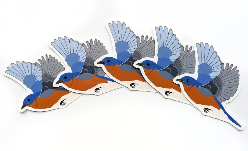 Bluebird Bird Sticker Vinyl Laptop Water Bottle Decal Gift for Bird Lover image 3