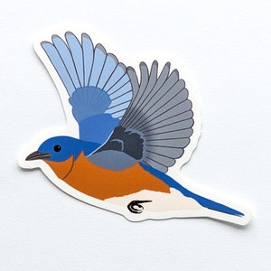 Bluebird Bird Sticker Vinyl Laptop Water Bottle Decal Gift for Bird Lover image 2
