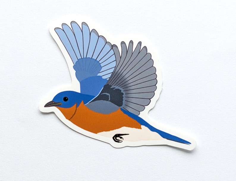 Bluebird Bird Sticker Vinyl Laptop Water Bottle Decal Gift for Bird Lover image 2