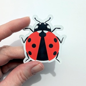 Ladybug Sticker Vinyl Laptop Water Bottle Decal