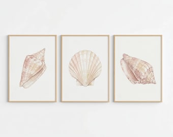 水彩貝殻アートプリント6枚セット、貝殻絵画、海をイメージした壁飾り