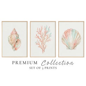 May include: A set of three framed prints featuring watercolor illustrations of a spiral seashell, a branching coral, and a fan-shaped scallop shell in soft pastel pink and blue tones. The text PREMIUM COLLECTION SET OF 3 PRINTS is visible.