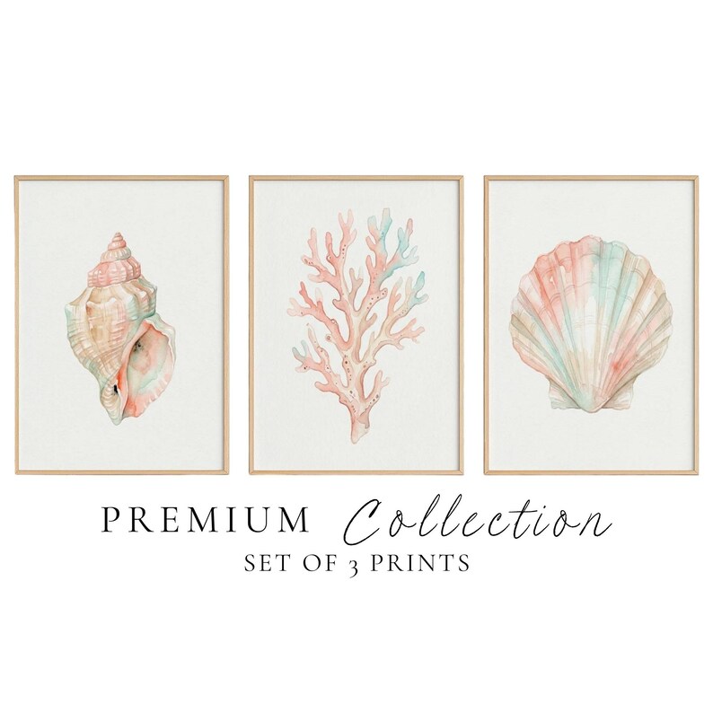 May include: A set of three framed prints featuring watercolor illustrations of a spiral seashell, a branching coral, and a fan-shaped scallop shell in soft pastel pink and blue tones. The text PREMIUM COLLECTION SET OF 3 PRINTS is visible.