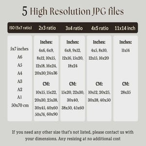 May include: A chart titled 5 High Resolution JPG files displaying five aspect ratios including ISO, 2x3, 3x4, 4x5, and 11x14 inch. The table lists various dimensions in inches and centimeters for each ratio, with a note offering custom resizing services.