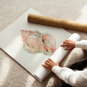 May include: A square white art print featuring a watercolor illustration of a conch shell in shades of soft pink, peach, and muted green. The shell is depicted with intricate spiral details and a textured surface, presented on a flat paper sheet.