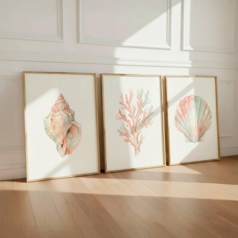 May include: Three framed wall art prints featuring watercolor illustrations of marine life. The left print shows a spiral seashell, the center print displays a branching coral structure, and the right print depicts a fan-shaped scallop shell.