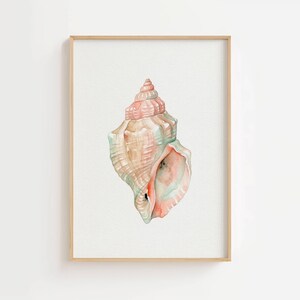Watercolor Seashell Wall Art Set of 3, Coastal Printable Decor, Beach Shell Prints image 13