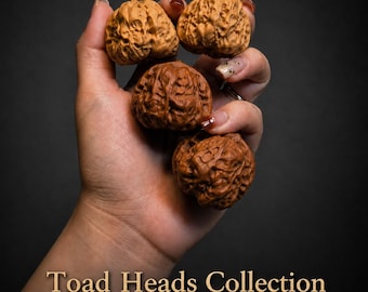 Par de bolas chinas naturales de Baoding con forma de cabeza de sapo (Hamatou) / Bolas para ejercicios de manos y objetos de colección para aliviar el estrés