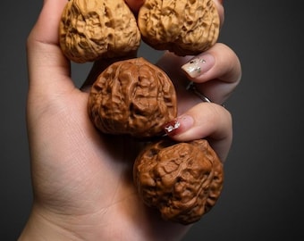 Chinese Wenwan Walnut Pair | Hand Exercise Stress Balls | Baoding Ball Fidget Meditation Tool