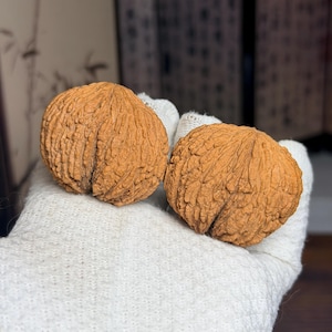 Puede incluir: Dos nueces marrones con cáscaras profundamente texturizadas y arrugadas. Las nueces están colocadas una al lado de la otra, mostrando sus patrones de superficie naturales y rugosos, así como sus costuras centrales en tonos marrón claro.