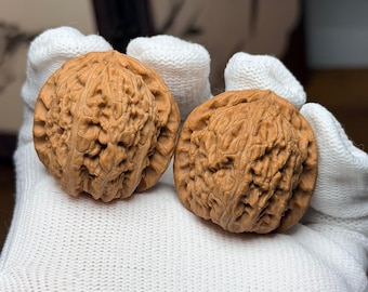 Mini White Lion Wenwan Walnut Pair | Chinese Hand Exercise Balls Pair#113