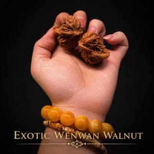 Rare Shape Wenwan Walnut Pair | Baoding Balls for Hand Exercise & Meditation | Unique Selection