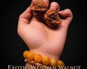 Juego de bolas de nogal Wenwan de forma singular / Bolas de Baoding para ejercicios de manos y meditación / Selección exclusiva