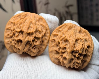 Heaven & Earth (Tian Di)  Wenwan Walnut Pair | Chinese Hand Exercise Balls Pair#109