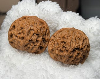 Dragon Eye Wenwan Walnut Pair | Chinese Hand Exercise Balls Pair#116
