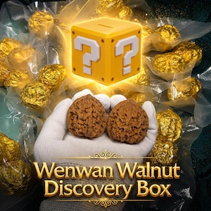 Wenwan Walnut Discovery Box | Random Natural Walnut Pair | Beginner-Friendly Selection