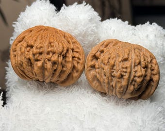 Four Tower Fish Wenwan Walnut Pair | Chinese Hand Exercise Balls Pair#101
