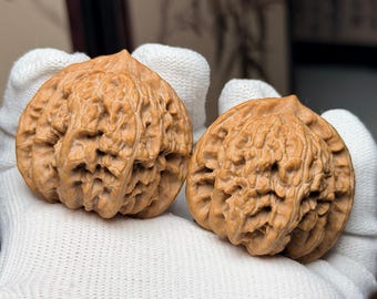 Coil Dragon Wenwan Walnut Pair | Chinese Hand Exercise Balls Pair#108