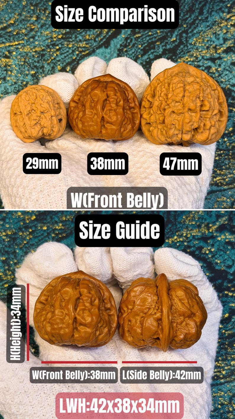 Rare Shape Wenwan Walnut Pair | Baoding Balls for Hand Exercise ...