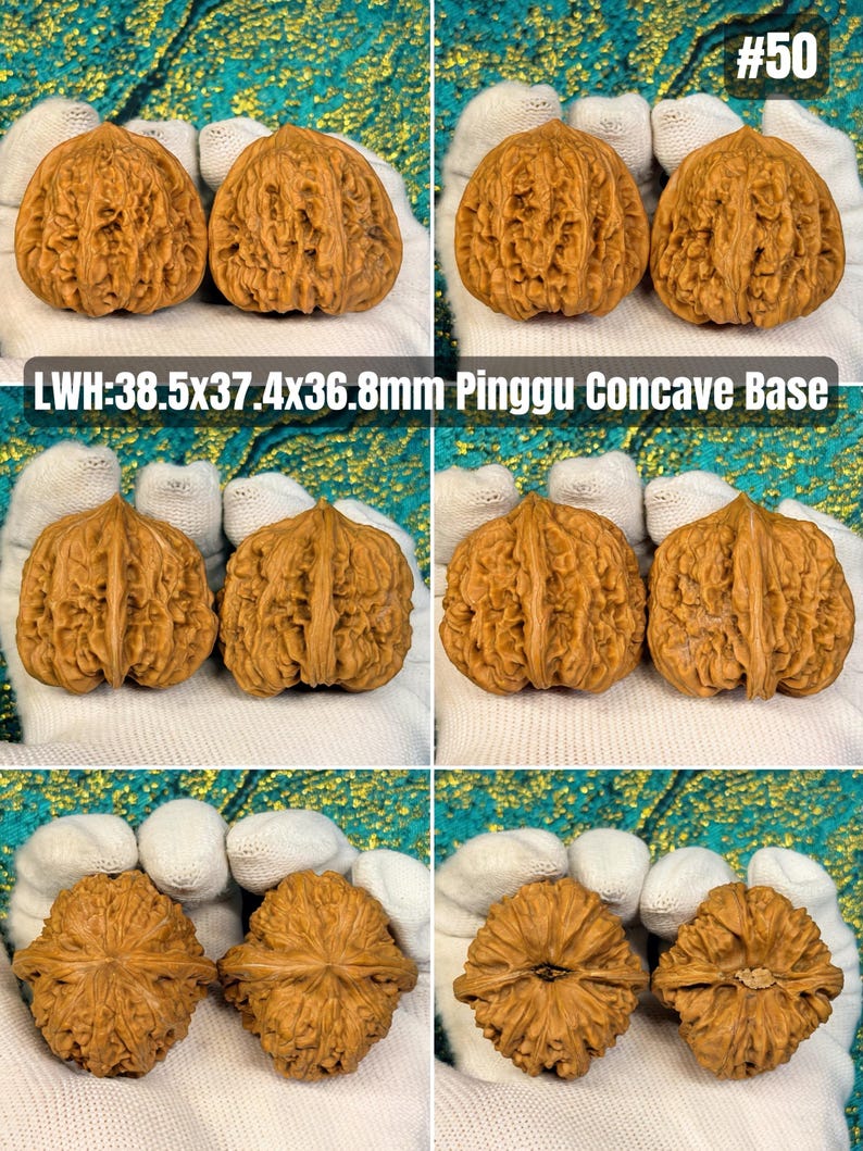 Chinese Wenwan Walnut Pair | Hand Exercise Stress Balls | Baoding Ball ...