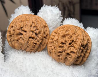 Big Thick Ridge Wenwan Walnut Pair | Chinese Hand Exercise Balls Pair#99