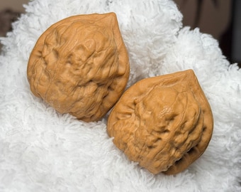 Ancient Toad Wenwan Walnut Pair | Chinese Hand Exercise Balls Pair#102