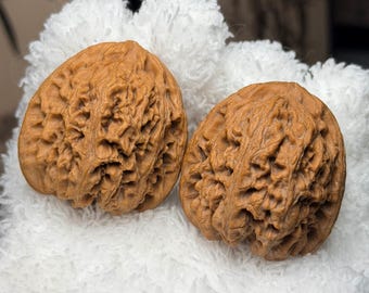 Nanjiang Stone Wenwan Walnut Pair | Chinese Hand Exercise Balls Pair#97