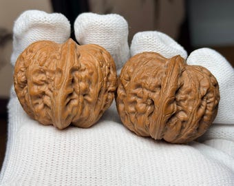 Mini Pingu Ingot Wenwan Walnut Pair | Chinese Hand Exercise Balls Pair#114