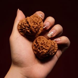 Puede incluir: Dos nueces marrones con superficies texturizadas se sostienen en una mano sobre un fondo oscuro. Las nueces son de color marrón natural y tienen una textura detallada y acanalada. La mano está enfocada, con las nueces en un lugar destacado.