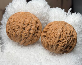 Iron Hammer Wenwan Walnut Pair | Chinese Hand Exercise Balls Pair#107